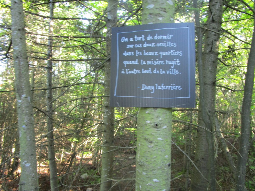 IMG_0165B.P.DanyLAFERRIERE-Dormir