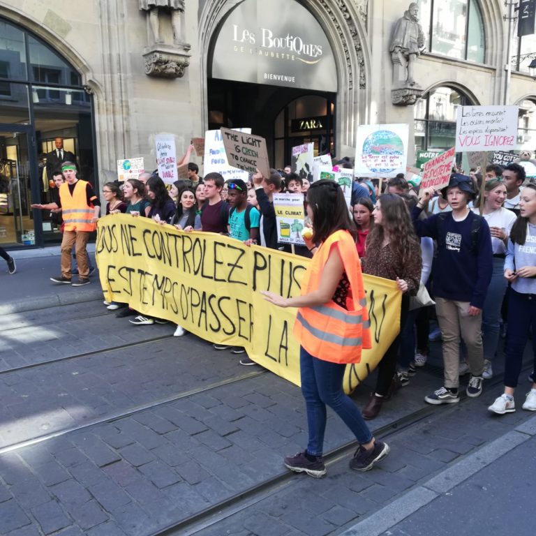 c8060111-15ca-4201-bfa1-2c8b03aac90c-768x768